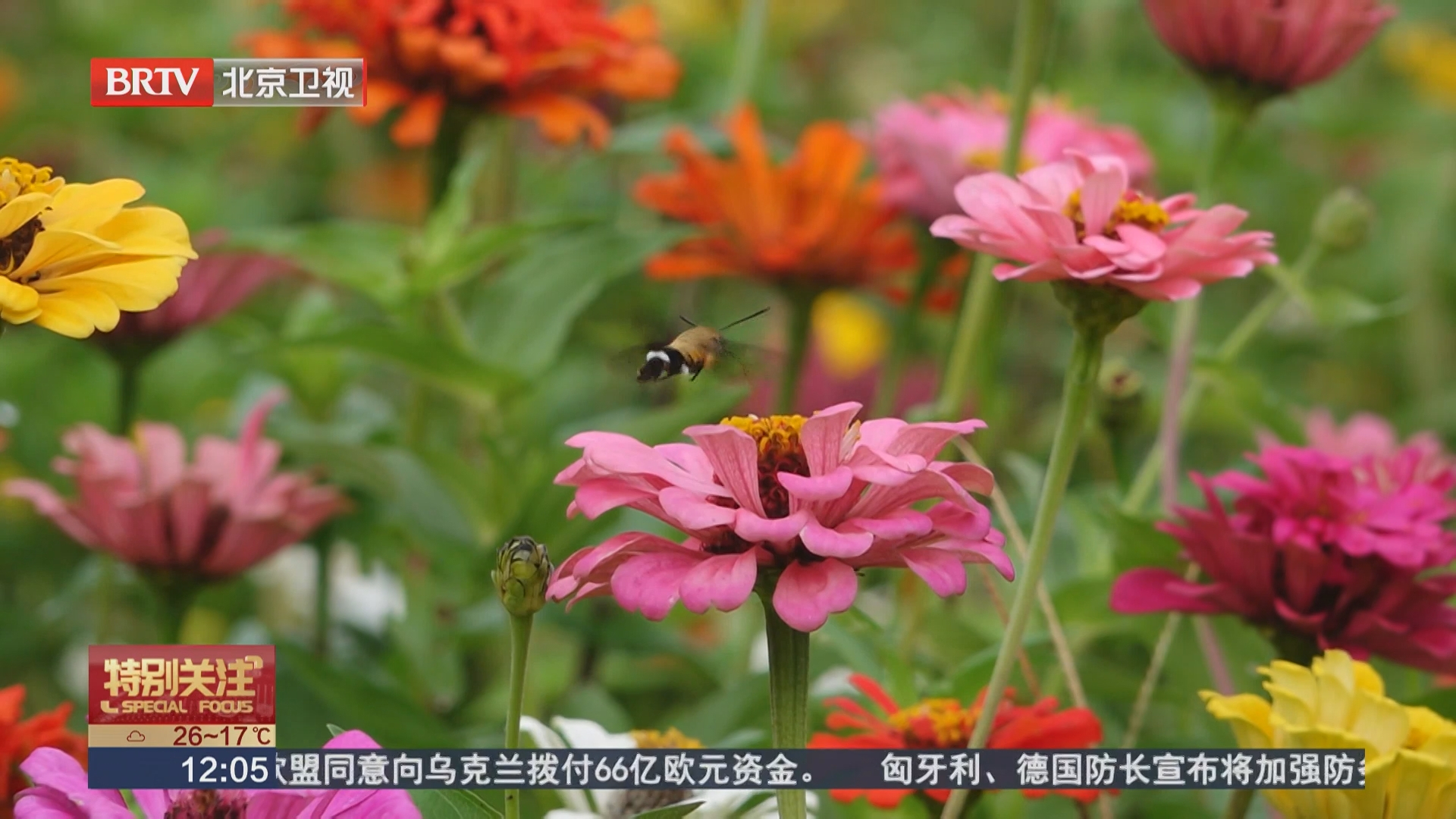 114.2万人次游客参与百余项中秋游园活动 114.2万人次游客参与百余项中秋游园活动